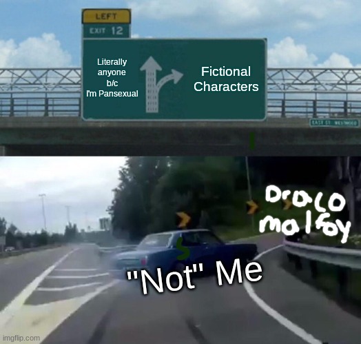 My loner bookloving life | Literally anyone b/c I'm Pansexual; Fictional Characters; "Not" Me | image tagged in memes,left exit 12 off ramp,draco malfoy,simp,loner | made w/ Imgflip meme maker