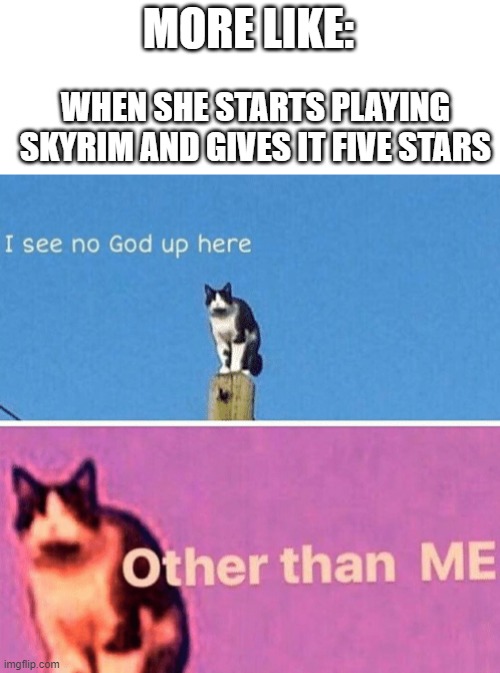 Hail pole cat | MORE LIKE: WHEN SHE STARTS PLAYING SKYRIM AND GIVES IT FIVE STARS | image tagged in hail pole cat | made w/ Imgflip meme maker