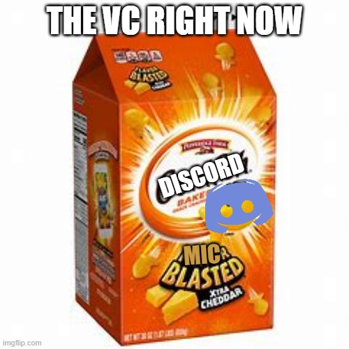 The VC right now | THE VC RIGHT NOW; DISCORD; MIC | image tagged in stupid,memes | made w/ Imgflip meme maker