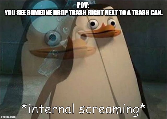 Am I the only one who feels like this? | POV: 
YOU SEE SOMEONE DROP TRASH RIGHT NEXT TO A TRASH CAN. | image tagged in private internal screaming | made w/ Imgflip meme maker