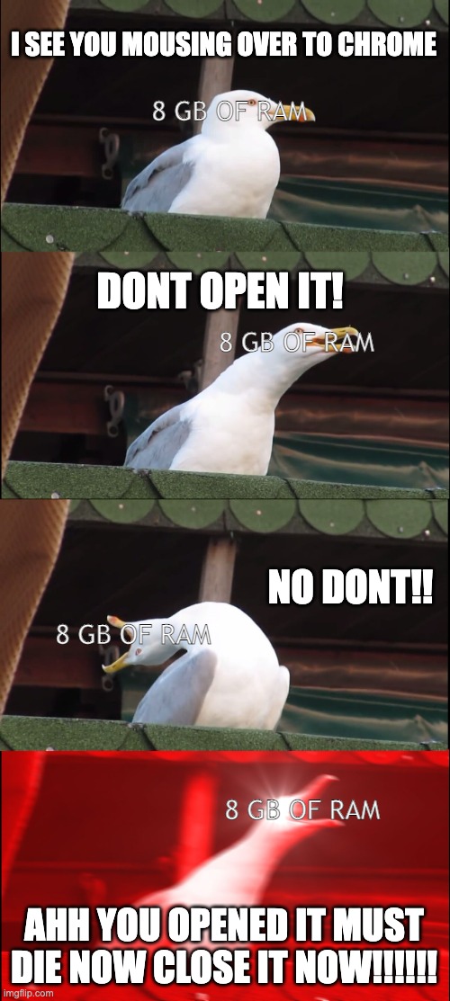 Inhaling Seagull | I SEE YOU MOUSING OVER TO CHROME; 8 GB OF RAM; DONT OPEN IT! 8 GB OF RAM; NO DONT!! 8 GB OF RAM; 8 GB OF RAM; AHH YOU OPENED IT MUST DIE NOW CLOSE IT NOW!!!!!! | image tagged in memes,inhaling seagull,computer,desktop computer,ram | made w/ Imgflip meme maker
