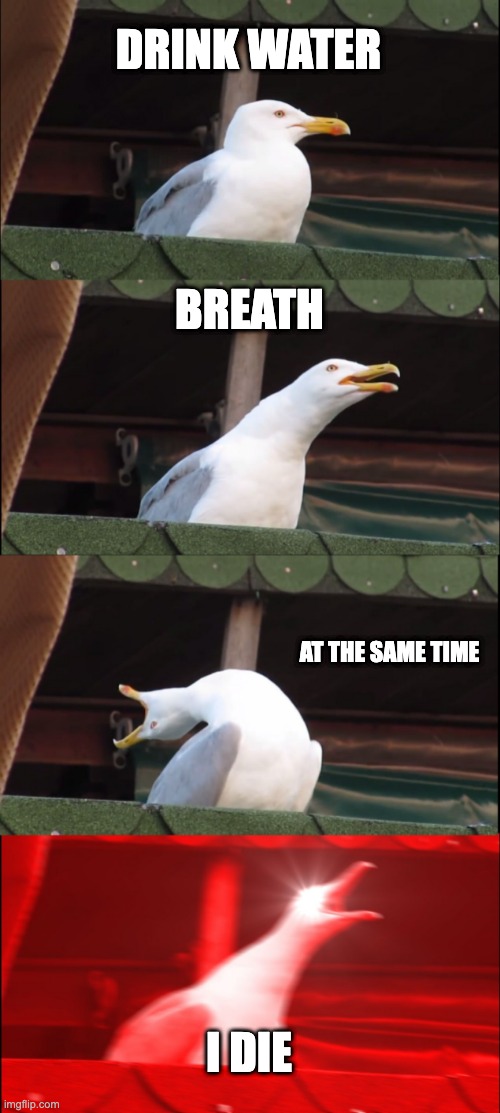 It happens... | DRINK WATER; BREATH; AT THE SAME TIME; I DIE | image tagged in memes,inhaling seagull,holy water,inhales dies bird,dies from cringe,hide the pain harold | made w/ Imgflip meme maker