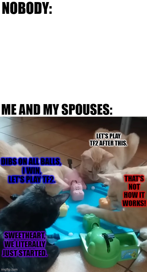 This is literally us every single night xD | NOBODY:; ME AND MY SPOUSES:; LET'S PLAY TF2 AFTER THIS. DIBS ON ALL BALLS, 
I WIN,
LET'S PLAY TF2. THAT'S NOT HOW IT WORKS! SWEETHEART, WE LITERALLY JUST STARTED. | image tagged in memes,funny,family,gotta love 'em | made w/ Imgflip meme maker