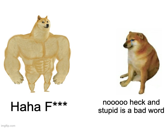 Buff Doge vs. Cheems | Haha F***; nooooo heck and stupid is a bad word | image tagged in memes,buff doge vs cheems | made w/ Imgflip meme maker