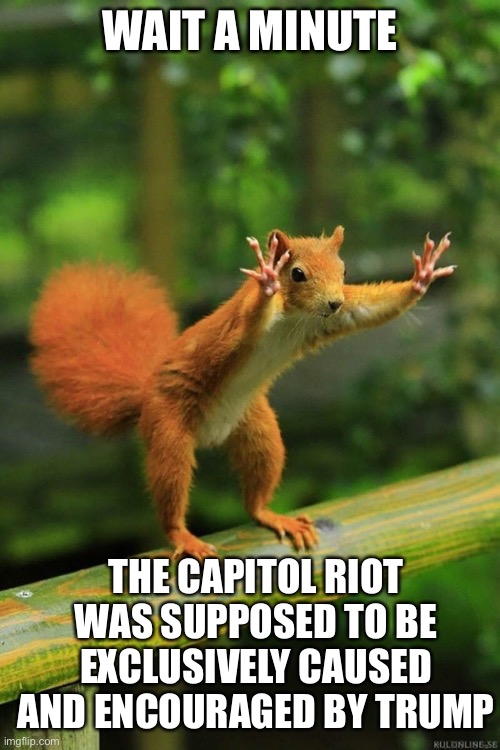 Wait a Minute Squirrel | WAIT A MINUTE THE CAPITOL RIOT WAS SUPPOSED TO BE EXCLUSIVELY CAUSED AND ENCOURAGED BY TRUMP | image tagged in wait a minute squirrel | made w/ Imgflip meme maker