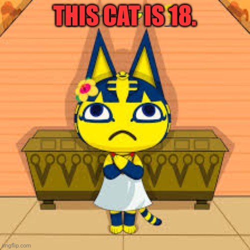 THIS CAT IS 18. | made w/ Imgflip meme maker