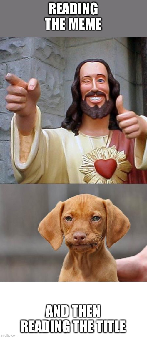 READING THE MEME AND THEN READING THE TITLE | image tagged in memes,buddy christ,dissapointed puppy | made w/ Imgflip meme maker