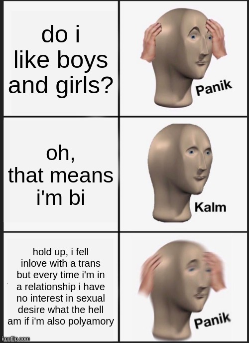 please someone explain to me cause i'm confused | do i like boys and girls? oh, that means i'm bi; hold up, i fell inlove with a trans but every time i'm in a relationship i have no interest in sexual desire what the hell am if i'm also polyamory | image tagged in memes,panik kalm panik | made w/ Imgflip meme maker