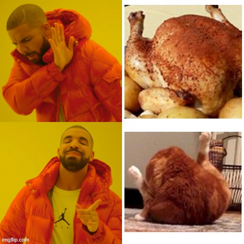 turkey vs. cat | image tagged in memes,drake hotline bling | made w/ Imgflip meme maker