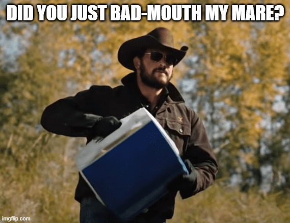 horse meme Rip | DID YOU JUST BAD-MOUTH MY MARE? | image tagged in memes | made w/ Imgflip meme maker