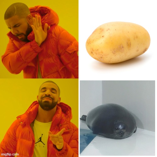 seal vs. potato | image tagged in memes,drake hotline bling | made w/ Imgflip meme maker
