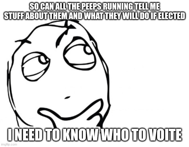 hmmm | SO CAN ALL THE PEEPS RUNNING TELL ME STUFF ABOUT THEM AND WHAT THEY WILL DO IF ELECTED; I NEED TO KNOW WHO TO VOITE | image tagged in hmmm | made w/ Imgflip meme maker