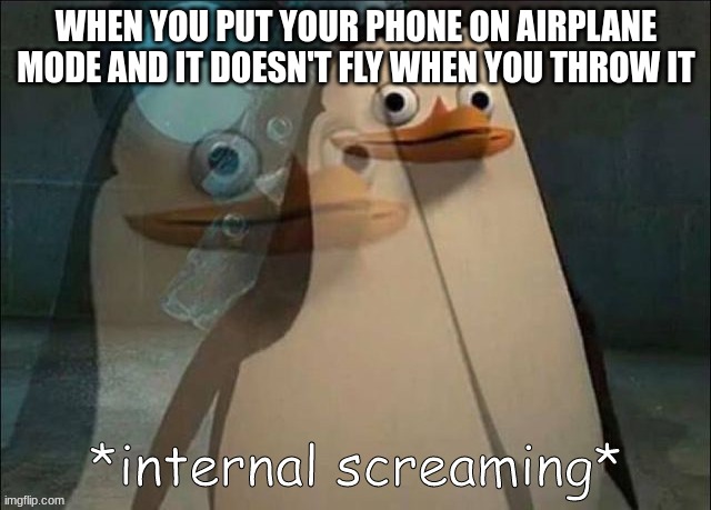 it doesn't make sense | WHEN YOU PUT YOUR PHONE ON AIRPLANE MODE AND IT DOESN'T FLY WHEN YOU THROW IT | image tagged in private internal screaming,funny,memes | made w/ Imgflip meme maker