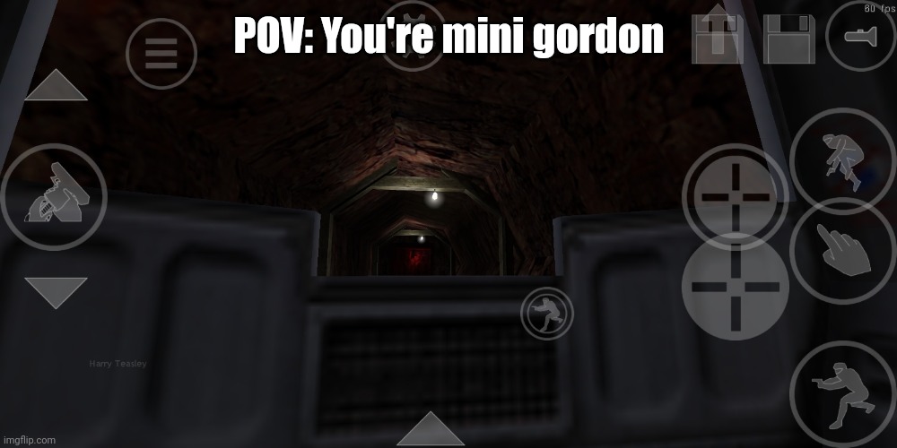 in mini gordon pov | POV: You're mini gordon | made w/ Imgflip meme maker
