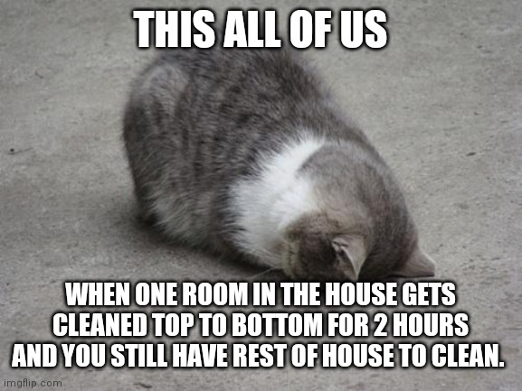 face down cat | THIS ALL OF US; WHEN ONE ROOM IN THE HOUSE GETS CLEANED TOP TO BOTTOM FOR 2 HOURS AND YOU STILL HAVE REST OF HOUSE TO CLEAN. | image tagged in face down cat | made w/ Imgflip meme maker