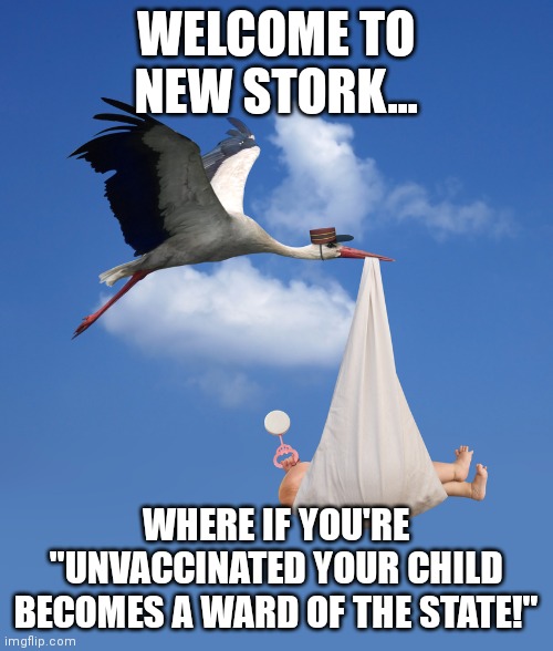 New York/New Stork/New Dork! | WELCOME TO NEW STORK... WHERE IF YOU'RE "UNVACCINATED YOUR CHILD BECOMES A WARD OF THE STATE!" | image tagged in stork natalism babies,baby,stealing,covidiots | made w/ Imgflip meme maker