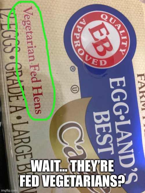 Wth??? | WAIT… THEY’RE FED VEGETARIANS? | image tagged in dafuq,oof | made w/ Imgflip meme maker