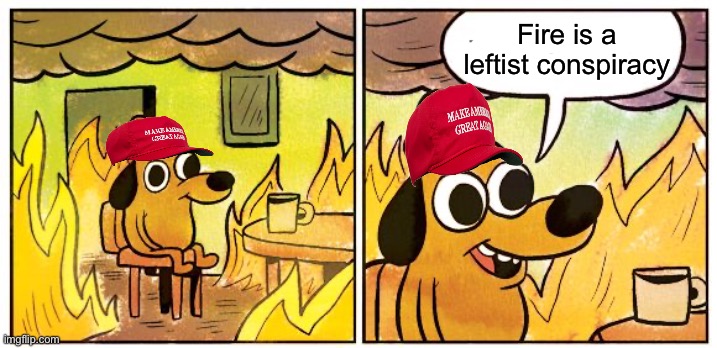 This Is Fine | Fire is a leftist conspiracy | image tagged in memes,this is fine | made w/ Imgflip meme maker