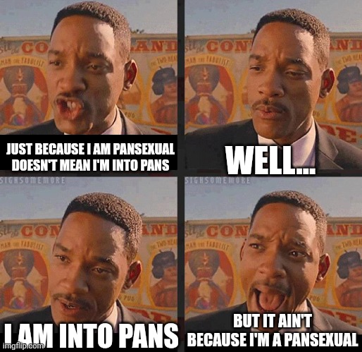 Joke I am not into pans |  WELL... JUST BECAUSE I AM PANSEXUAL DOESN'T MEAN I'M INTO PANS; BUT IT AIN'T BECAUSE I'M A PANSEXUAL; I AM INTO PANS | image tagged in but not because i'm black | made w/ Imgflip meme maker