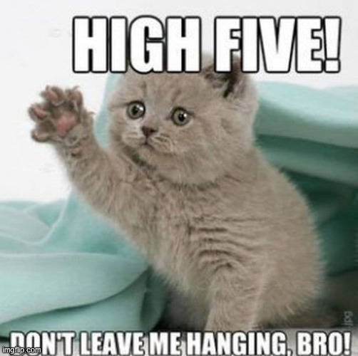 High Five or Upvotes | image tagged in upvote begging,begging,cats | made w/ Imgflip meme maker