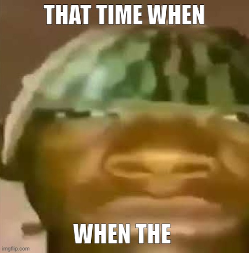 shitpost | THAT TIME WHEN WHEN THE | image tagged in shitpost | made w/ Imgflip meme maker