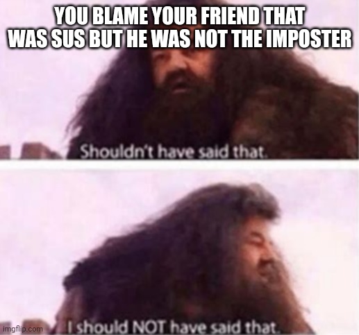 Shouldn't have said that | YOU BLAME YOUR FRIEND THAT WAS SUS BUT HE WAS NOT THE IMPOSTER | image tagged in shouldn't have said that | made w/ Imgflip meme maker