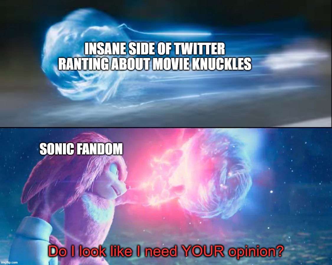 Knuckles Catches Sonic | INSANE SIDE OF TWITTER RANTING ABOUT MOVIE KNUCKLES; SONIC FANDOM; Do I look like I need YOUR opinion? | image tagged in knuckles catches sonic | made w/ Imgflip meme maker