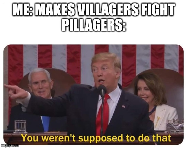 You weren't supposed to do that | ME: MAKES VILLAGERS FIGHT
PILLAGERS: | image tagged in you weren't supposed to do that | made w/ Imgflip meme maker