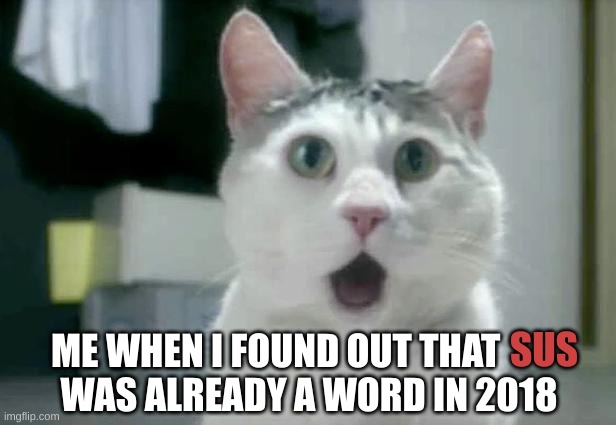 I was pretty surprised (I heard it in a Fe4rless video) |  SUS; ME WHEN I FOUND OUT THAT          WAS ALREADY A WORD IN 2018 | image tagged in memes,omg cat,fe4rless,sus | made w/ Imgflip meme maker