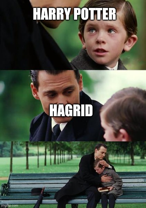 Finding Neverland | HARRY POTTER; HAGRID | image tagged in memes,finding neverland | made w/ Imgflip meme maker