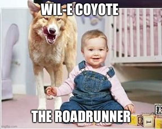 Dingositter | WIL-E COYOTE; THE ROADRUNNER | image tagged in dingositter | made w/ Imgflip meme maker