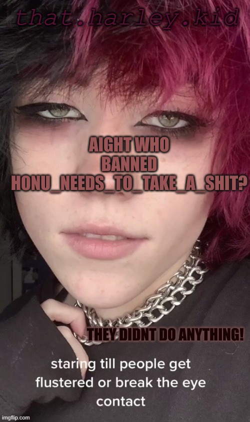 why | AIGHT WHO BANNED HONU_NEEDS_TO_TAKE_A_SHIT? THEY DIDNT DO ANYTHING! | image tagged in harley temp | made w/ Imgflip meme maker