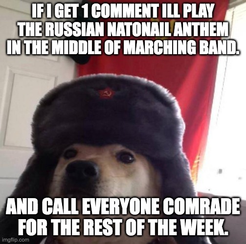 comrade :) | IF I GET 1 COMMENT ILL PLAY THE RUSSIAN NATONAIL ANTHEM IN THE MIDDLE OF MARCHING BAND. AND CALL EVERYONE COMRADE FOR THE REST OF THE WEEK. | image tagged in russian doge,in soviet russia,band,notice me,xd | made w/ Imgflip meme maker
