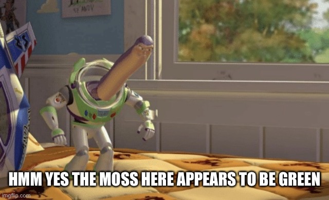 Hmm yes | HMM YES THE MOSS HERE APPEARS TO BE GREEN | image tagged in hmm yes | made w/ Imgflip meme maker