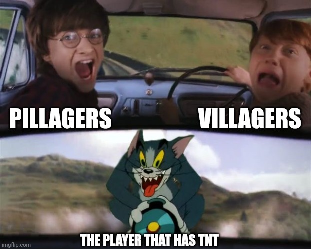 Tom chasing Harry and Ron Weasly | VILLAGERS; PILLAGERS; THE PLAYER THAT HAS TNT | image tagged in tom chasing harry and ron weasly | made w/ Imgflip meme maker