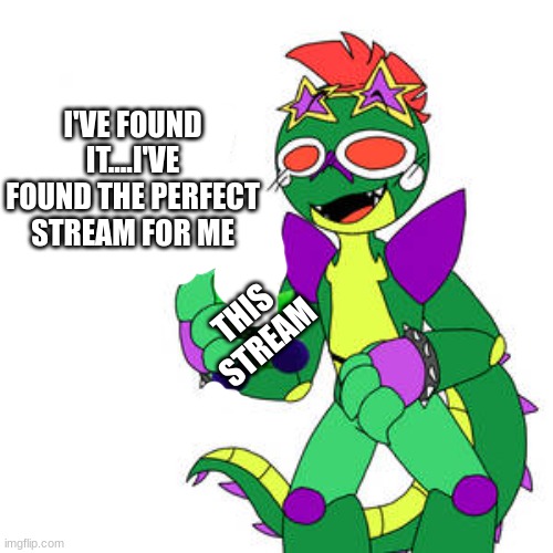 I'VE FOUND IT....I'VE FOUND THE PERFECT STREAM FOR ME; THIS STREAM | image tagged in twt | made w/ Imgflip meme maker