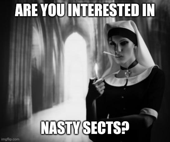 Nasty | ARE YOU INTERESTED IN; NASTY SECTS? | image tagged in lol so funny,funny memes | made w/ Imgflip meme maker