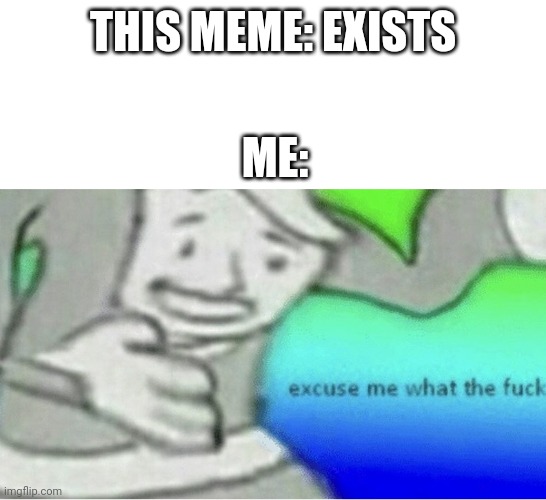 Excuse me wtf blank template | THIS MEME: EXISTS ME: | image tagged in excuse me wtf blank template | made w/ Imgflip meme maker