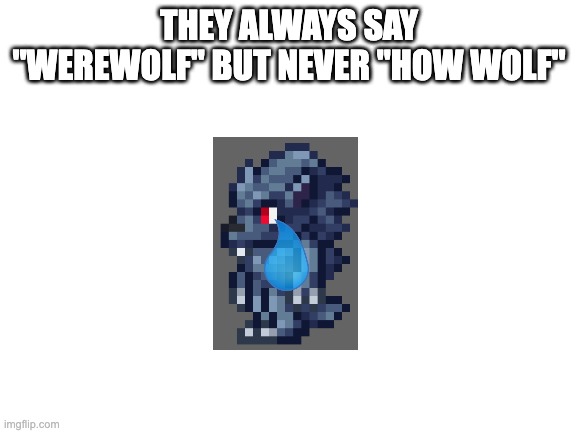 Not My Image. | THEY ALWAYS SAY "WEREWOLF" BUT NEVER "HOW WOLF" | image tagged in blank white template,terraria | made w/ Imgflip meme maker