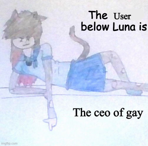 The meme Below Luna is ___ | User; The ceo of gay | image tagged in the meme below luna is ___ | made w/ Imgflip meme maker