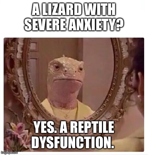 A Reptile Dysfunction | A LIZARD WITH SEVERE ANXIETY? YES. A REPTILE DYSFUNCTION. | image tagged in lizard reptilian in the mirror | made w/ Imgflip meme maker