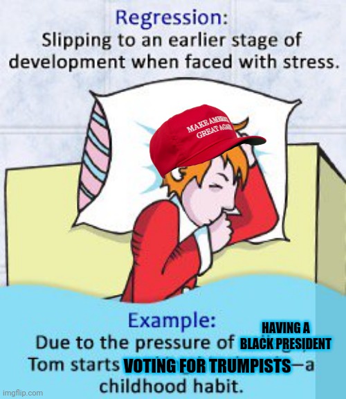 The Great Regression | HAVING A BLACK PRESIDENT; VOTING FOR TRUMPISTS | image tagged in childish,maga,you can't handle the truth | made w/ Imgflip meme maker
