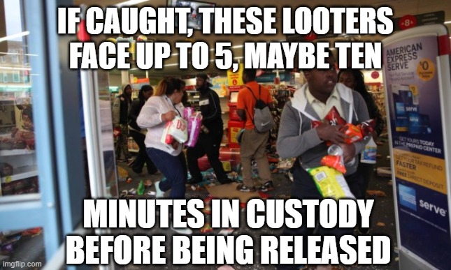 looters | IF CAUGHT, THESE LOOTERS FACE UP TO 5, MAYBE TEN; MINUTES IN CUSTODY BEFORE BEING RELEASED | image tagged in looters | made w/ Imgflip meme maker