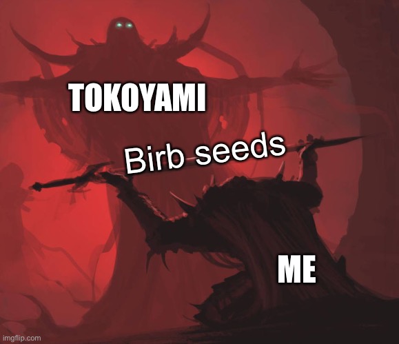 Man giving sword to larger man | TOKOYAMI ME Birb seeds | image tagged in man giving sword to larger man | made w/ Imgflip meme maker