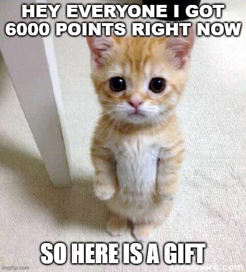 6000 POINTS SPECIAL | HEY EVERYONE I GOT 6000 POINTS RIGHT NOW; SO HERE IS A GIFT | image tagged in memes,cute cat | made w/ Imgflip meme maker