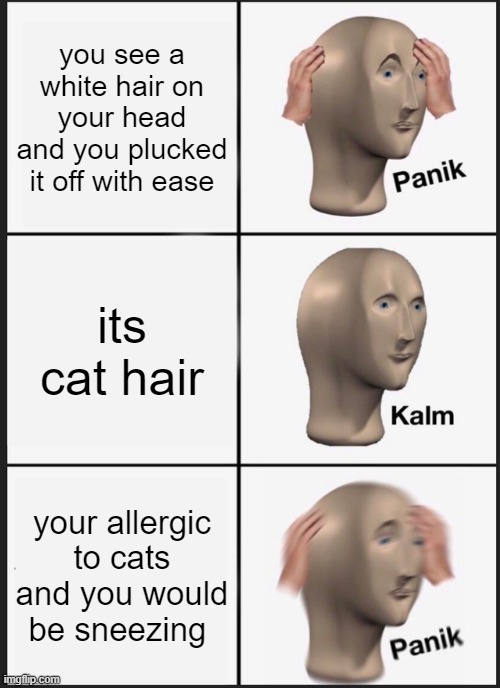 Panik Kalm Panik Meme | you see a white hair on your head and you plucked it off with ease; its cat hair; your allergic to cats and you would be sneezing | image tagged in memes,panik kalm panik | made w/ Imgflip meme maker