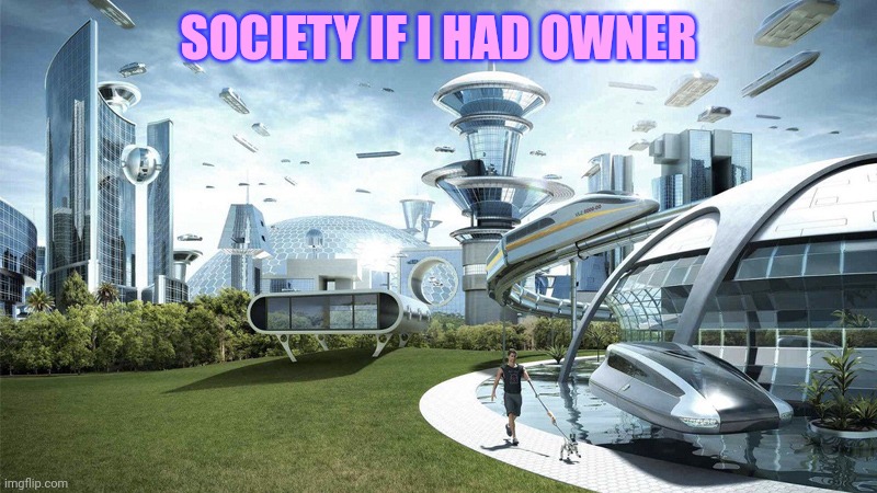 Owner of msmg | SOCIETY IF I HAD OWNER | image tagged in thicc mr krabs | made w/ Imgflip meme maker