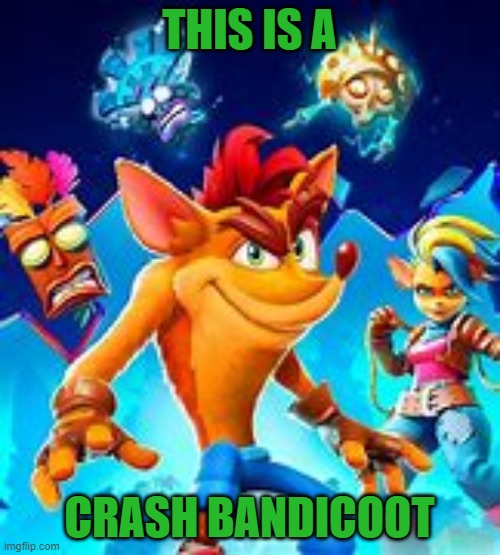 THIS IS A CRASH BANDICOOT | made w/ Imgflip meme maker