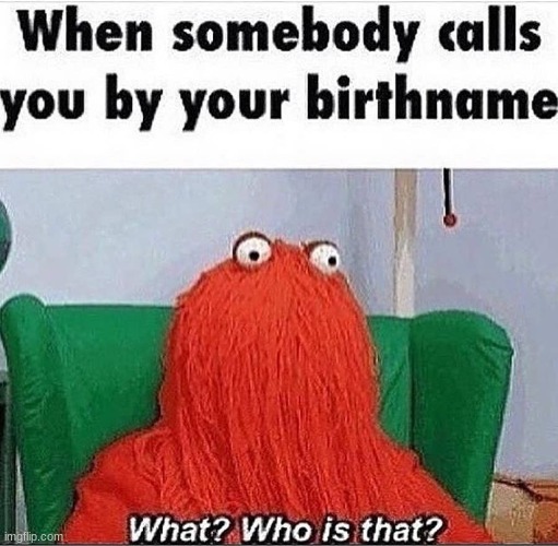 actual memes | image tagged in oml | made w/ Imgflip meme maker