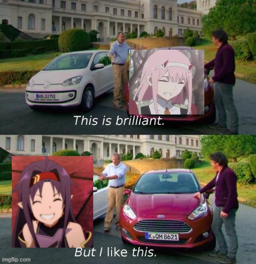 Konno Yuuki Smile, Zero Two | image tagged in this is brilliant but i like this,sao | made w/ Imgflip meme maker